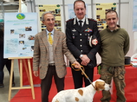 generale