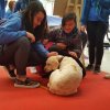 ragazzi fanno amicizia con Scilla