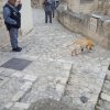 individuazione esca