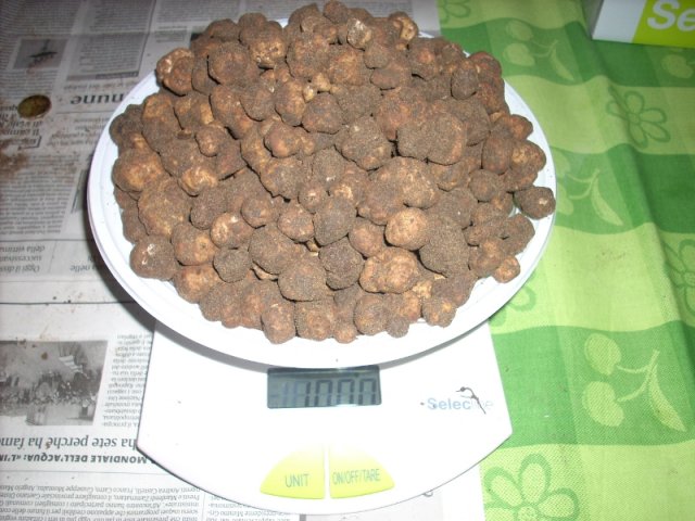 1_kilo_bianchetto