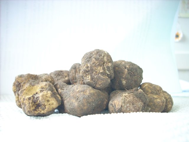 dscn5349