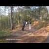 A caccia di tartufi