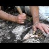 Il tartufo nella roccia