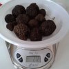 272gr