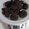317gr