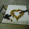 auguri_scilla_2